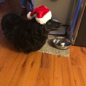 Meet your Posher, Janice